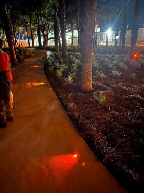 Walkway and landscape lighting glowing along a tree-lined path at night